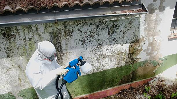 Trusted Commercial Mold Remediation service in Bridgeport, IL - Cheap Mold Removal